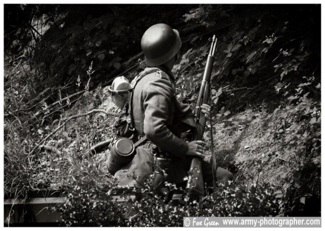 mg 31